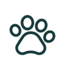 Casa Rural La Central de Azparren Ikonoak 07 e1773591796763